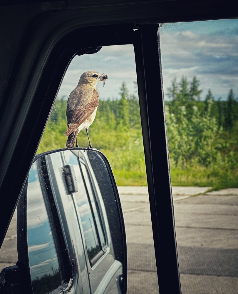 Photograph by Роман Гринник