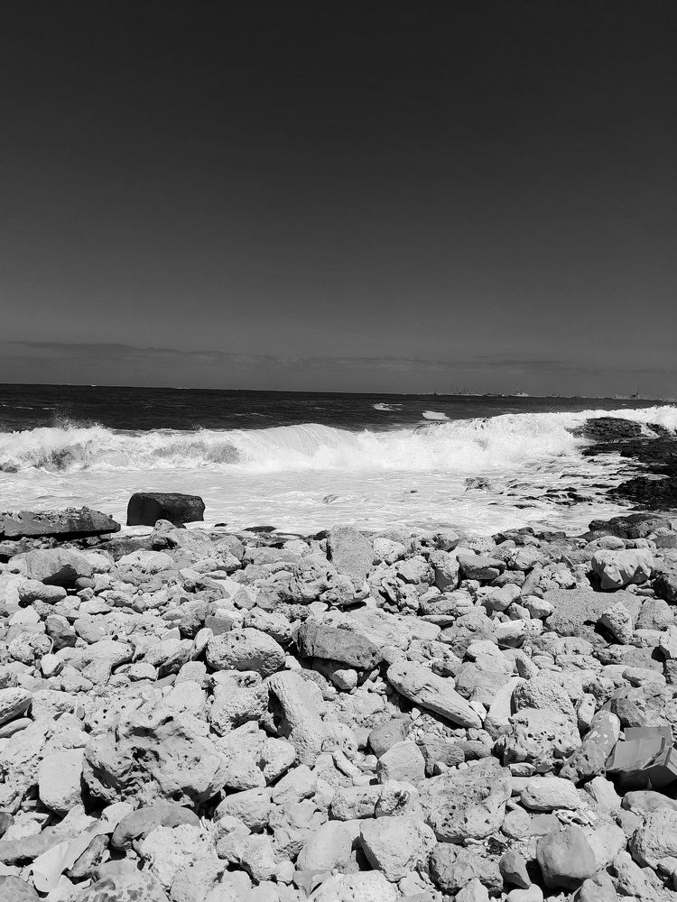 Photograph by mahmoud saeed