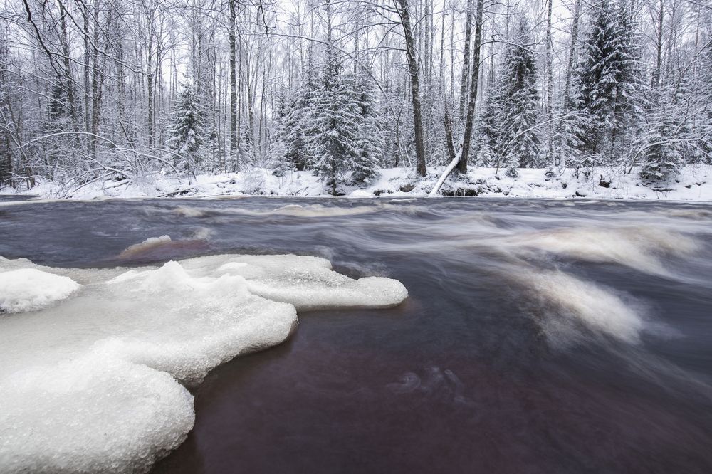 Photograph by Вышарь Максим