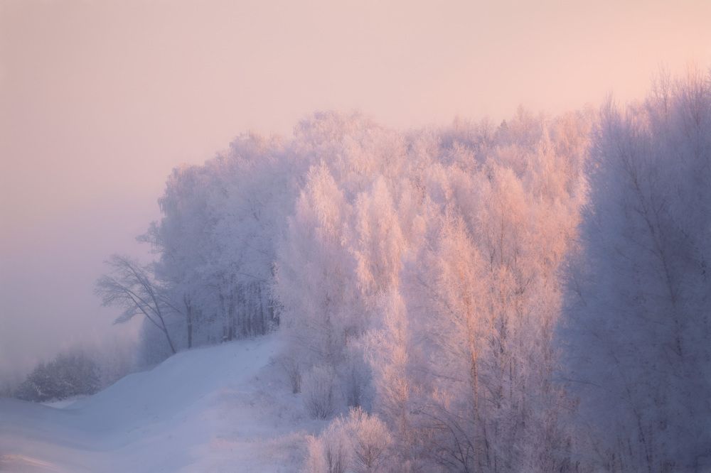 Фотография автора Nephotograph