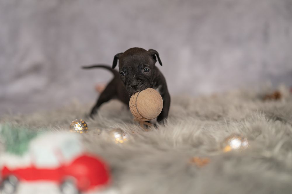 Photograph by Екатерина Каминская