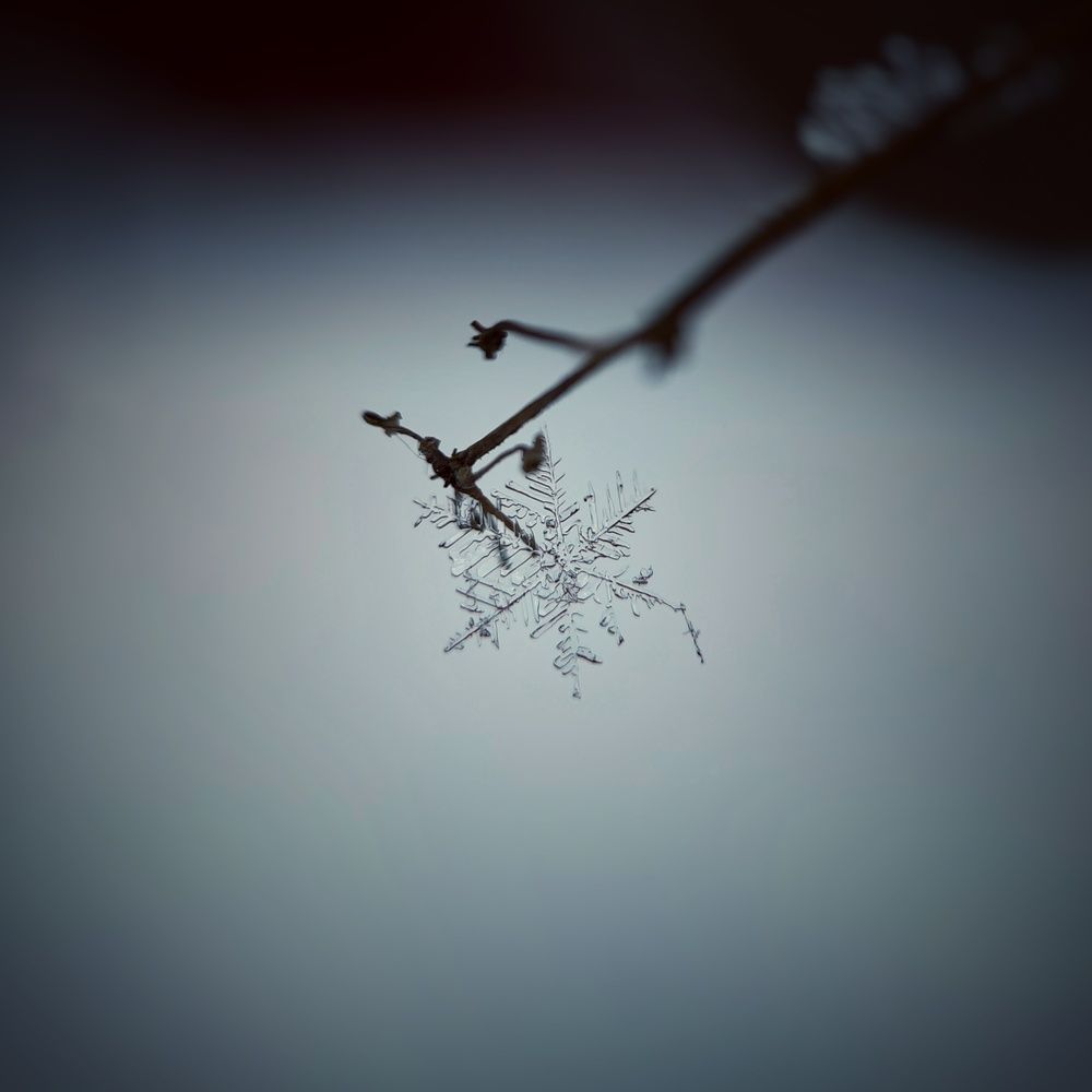 Photograph by Ольга Метлицкая