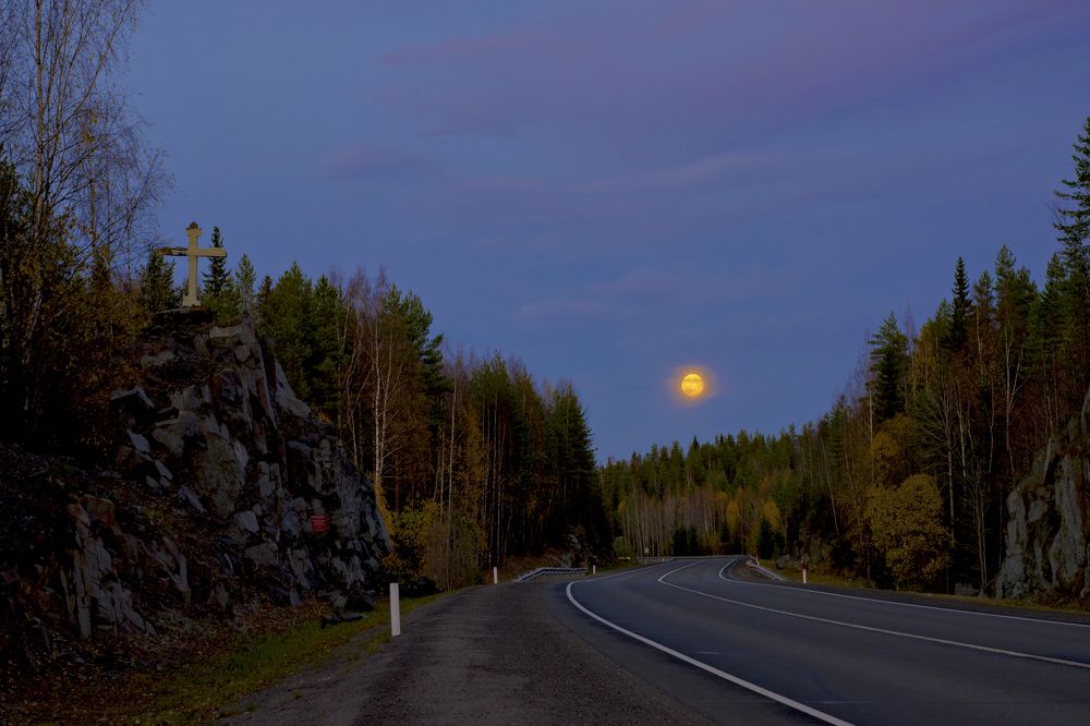 Photograph by Игорь Шишпанов