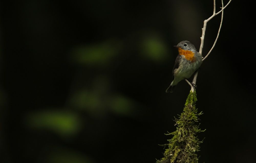 Photograph by Елизавета Цемко