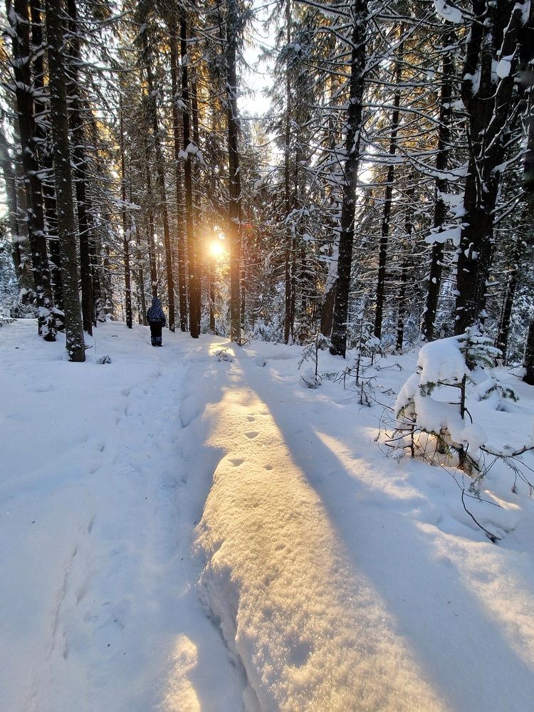 Photograph by Екатерина