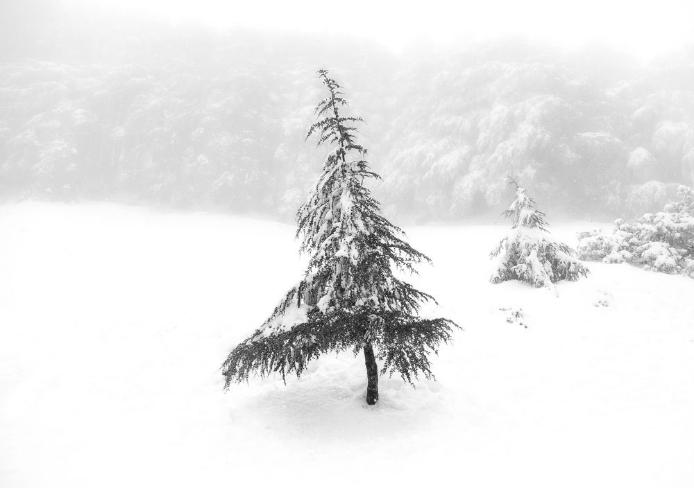 Photograph by Nadir Mekhati