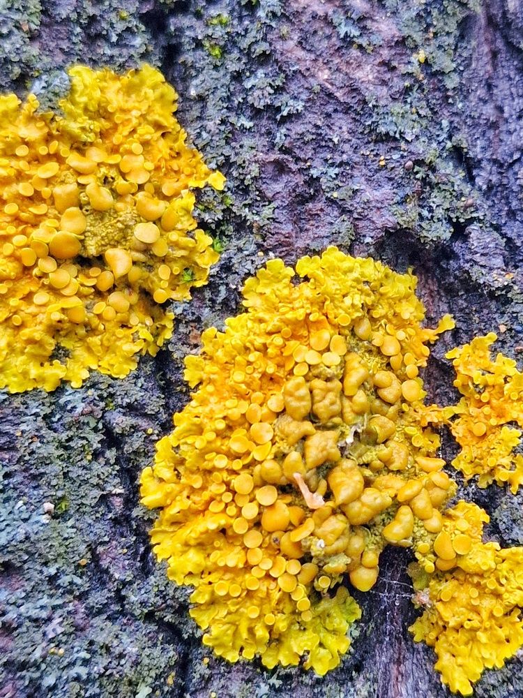 Photograph by Екатерина