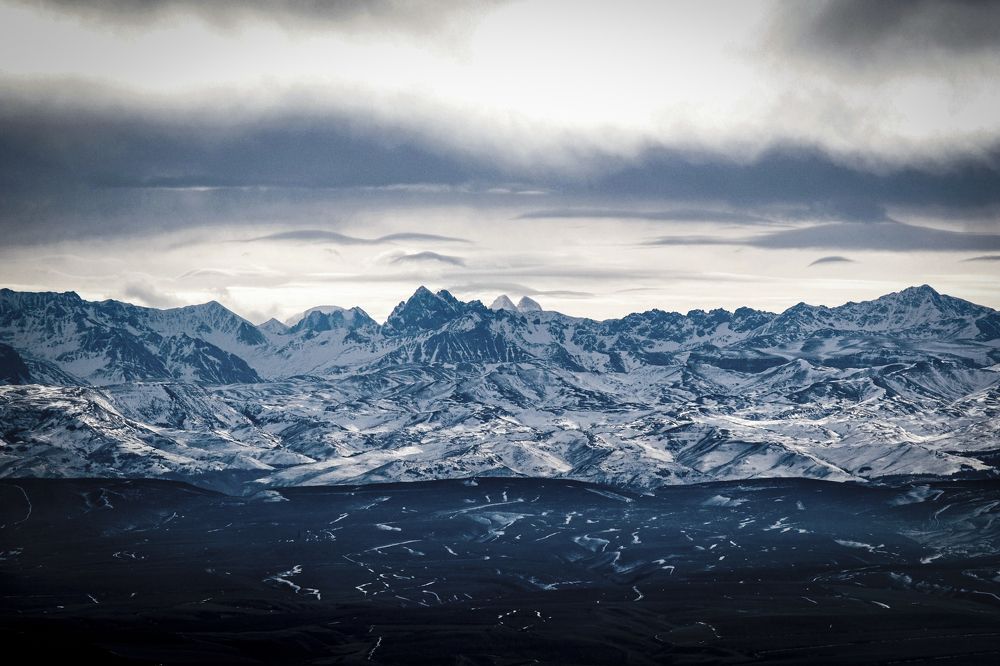 Фотография автора Роман Васильев