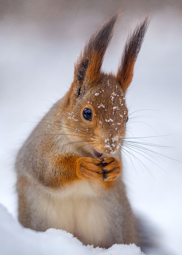 Photograph by Сергей Алексеев