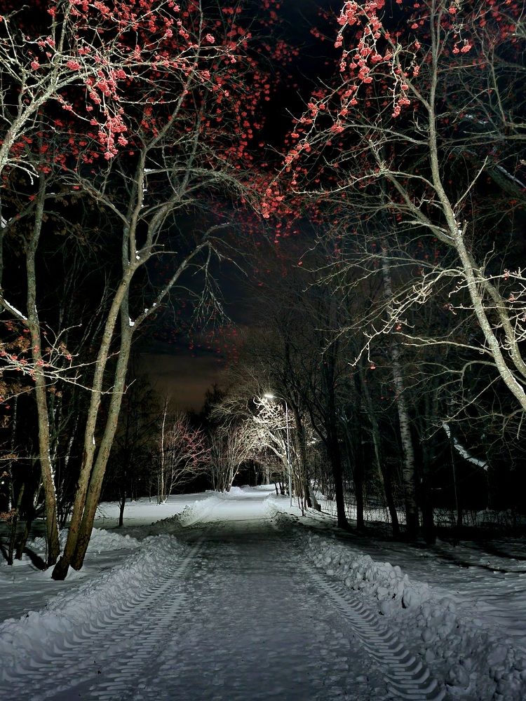 Photograph by Максим Иванов