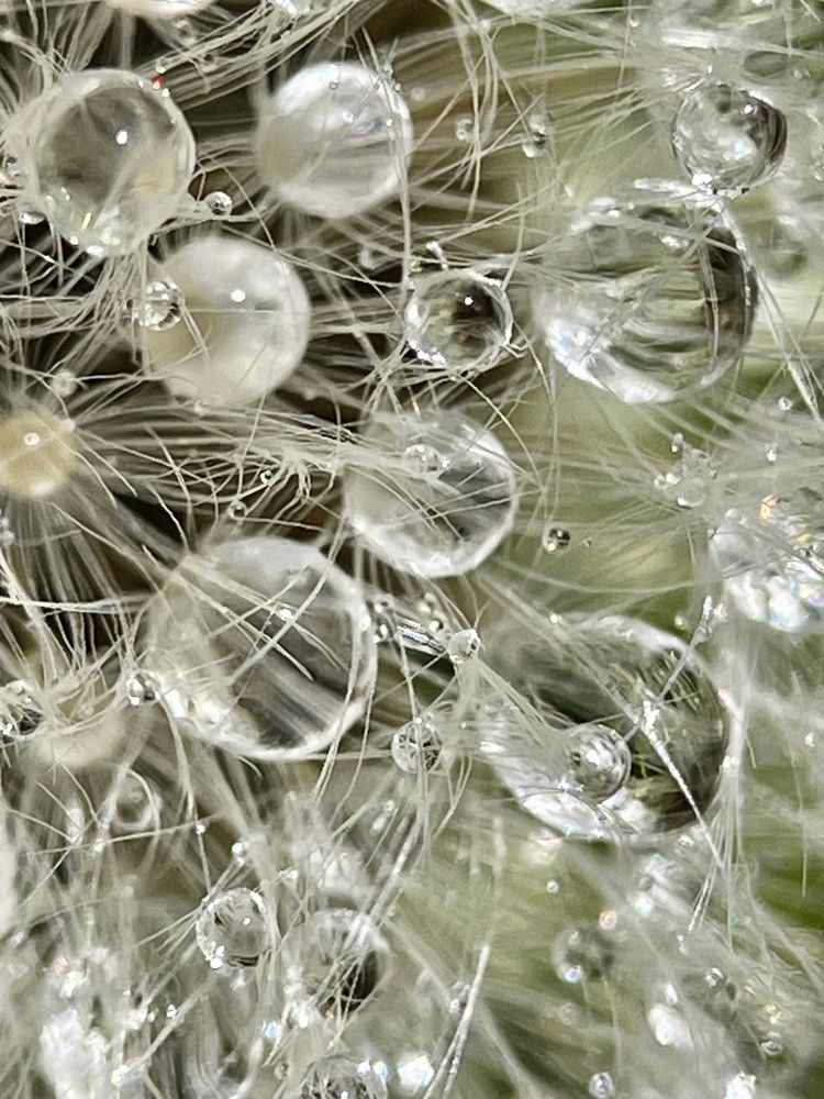 Фотография автора Рамзия Хисамутдинова