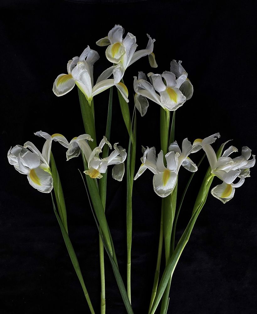 Фотография автора Рамзия Хисамутдинова