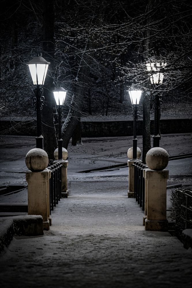 Фотография автора Роман Васильев