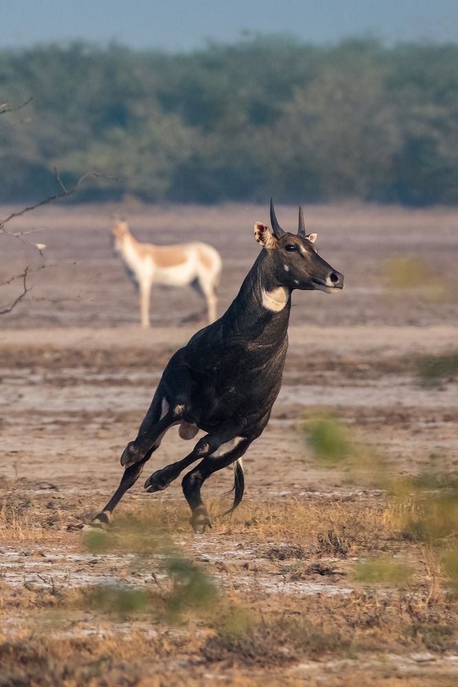 Фотография автора Arkajit Chakraborty