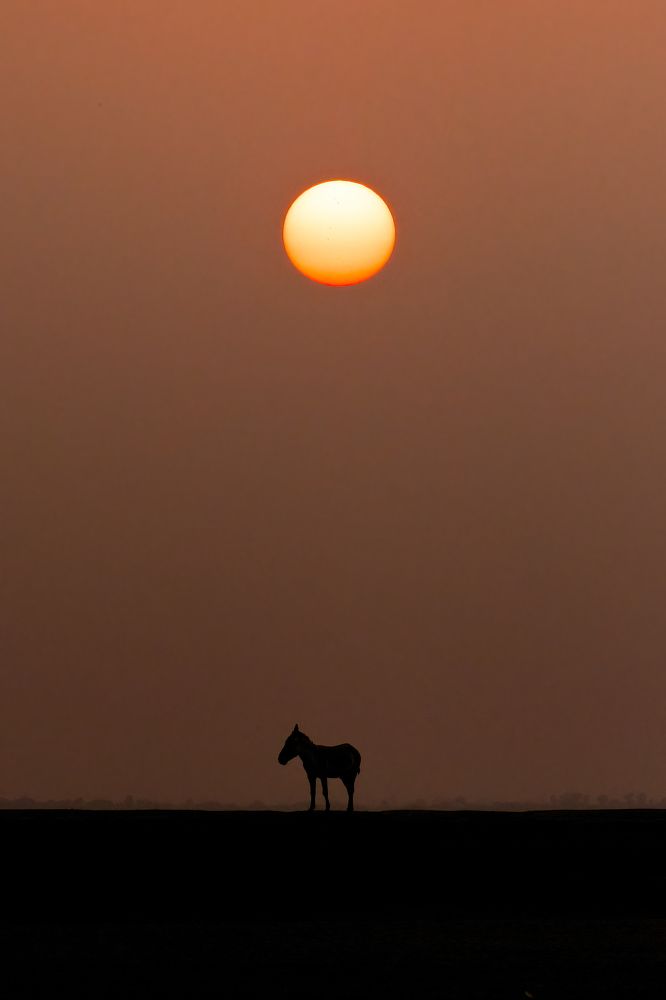 Фотография автора Arkajit Chakraborty