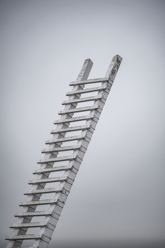 Фотография автора Роман Васильев