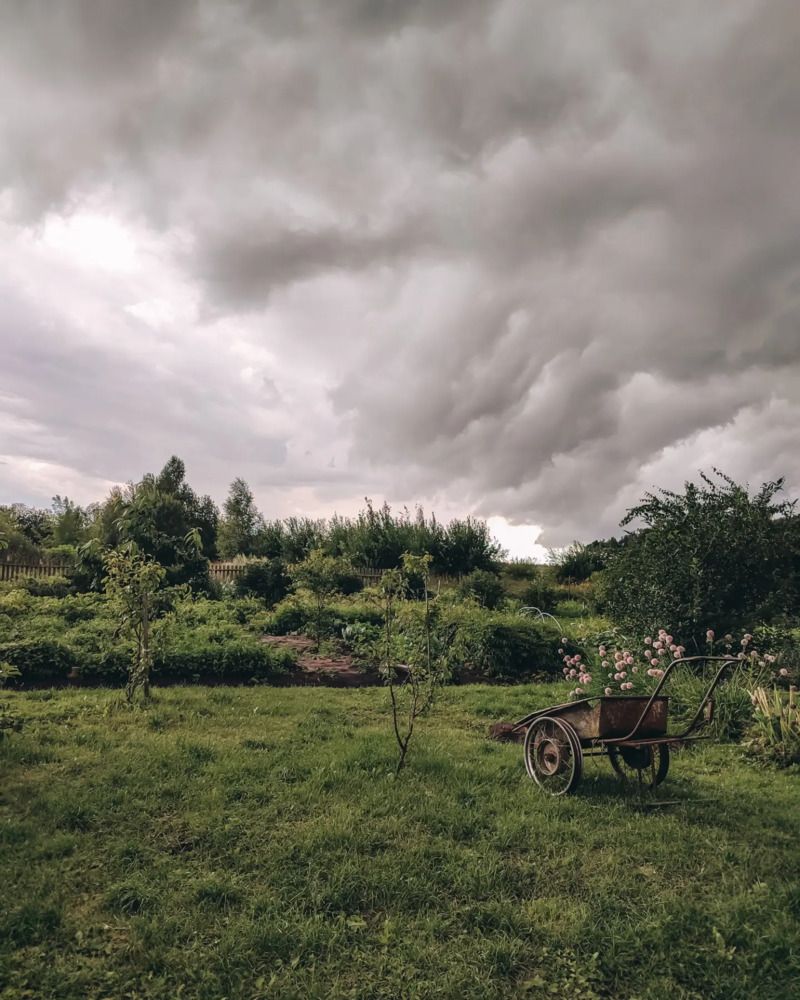 Photograph by Татьяна