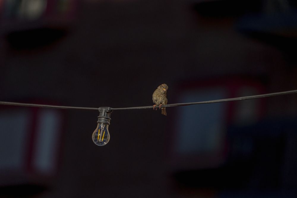 Фотография автора Ruslan Badykov