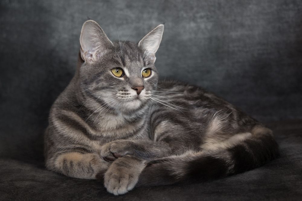 Photograph by Сергей Алексеев