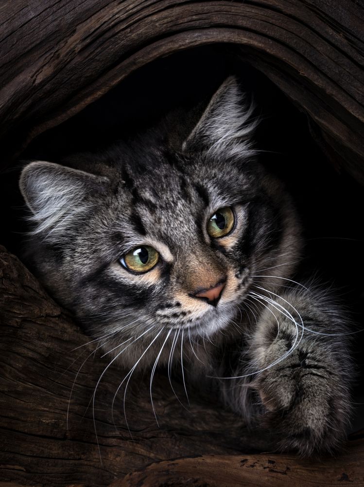 Photograph by Evgeniy Savikov