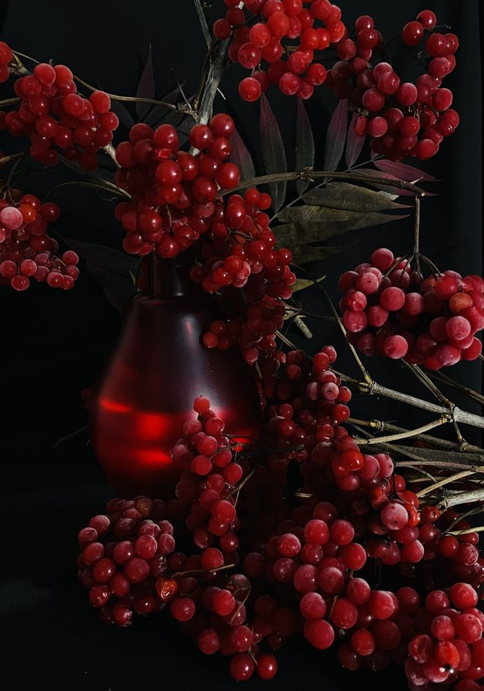 Фотография автора Рамзия Хисамутдинова