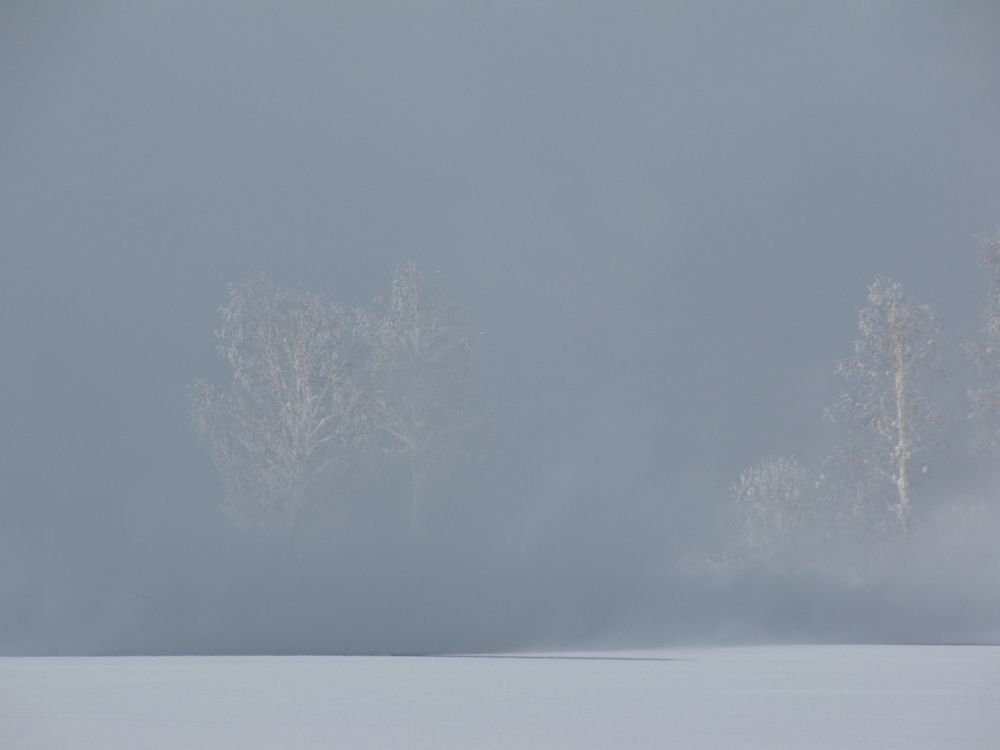 Photograph by Герасимов Игорь