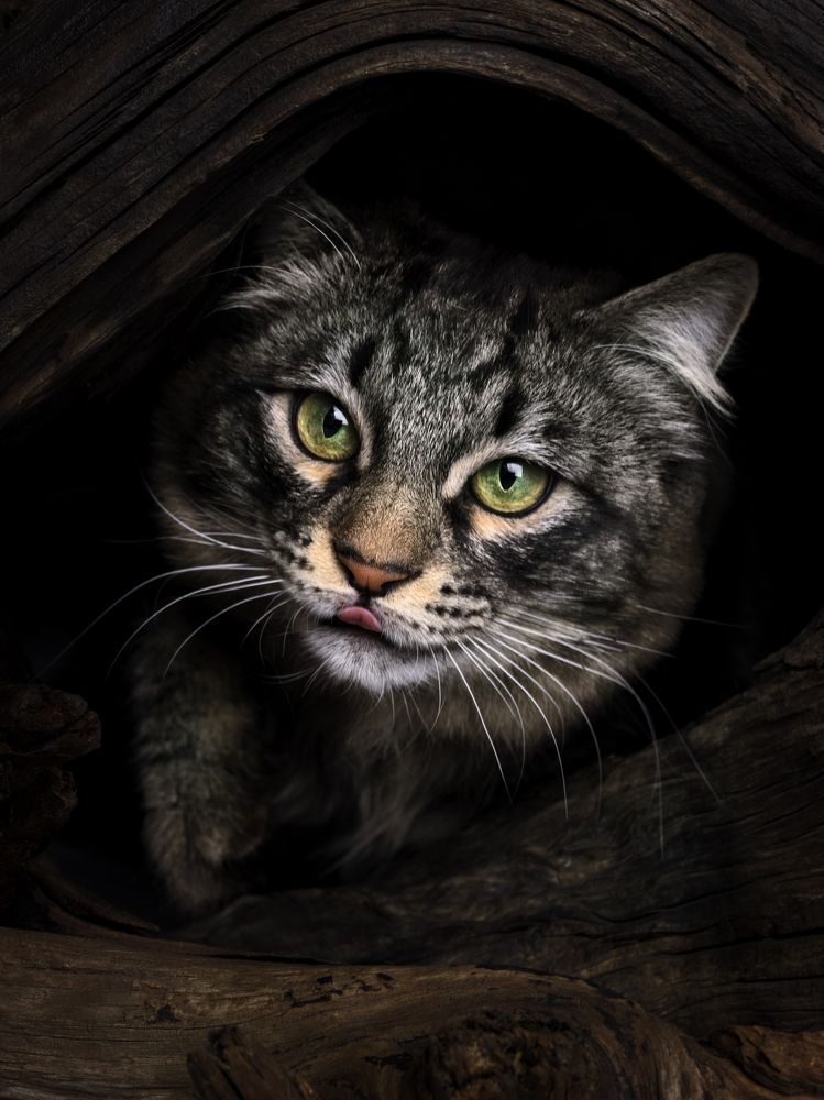 Photograph by Evgeniy Savikov