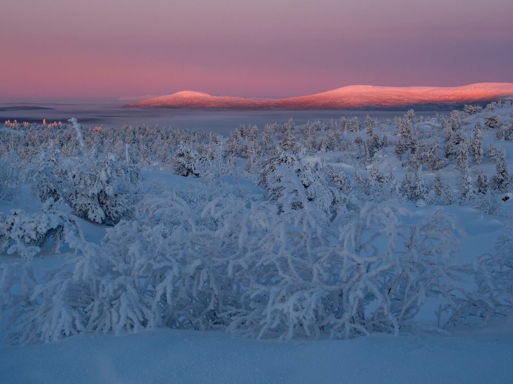 Photograph by Шейко Анна
