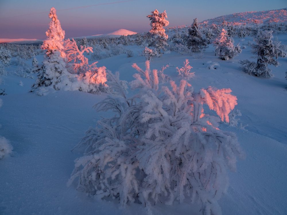 Photograph by Шейко Анна
