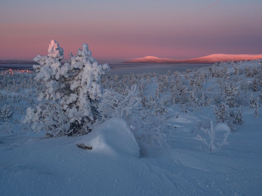 Photograph by Шейко Анна