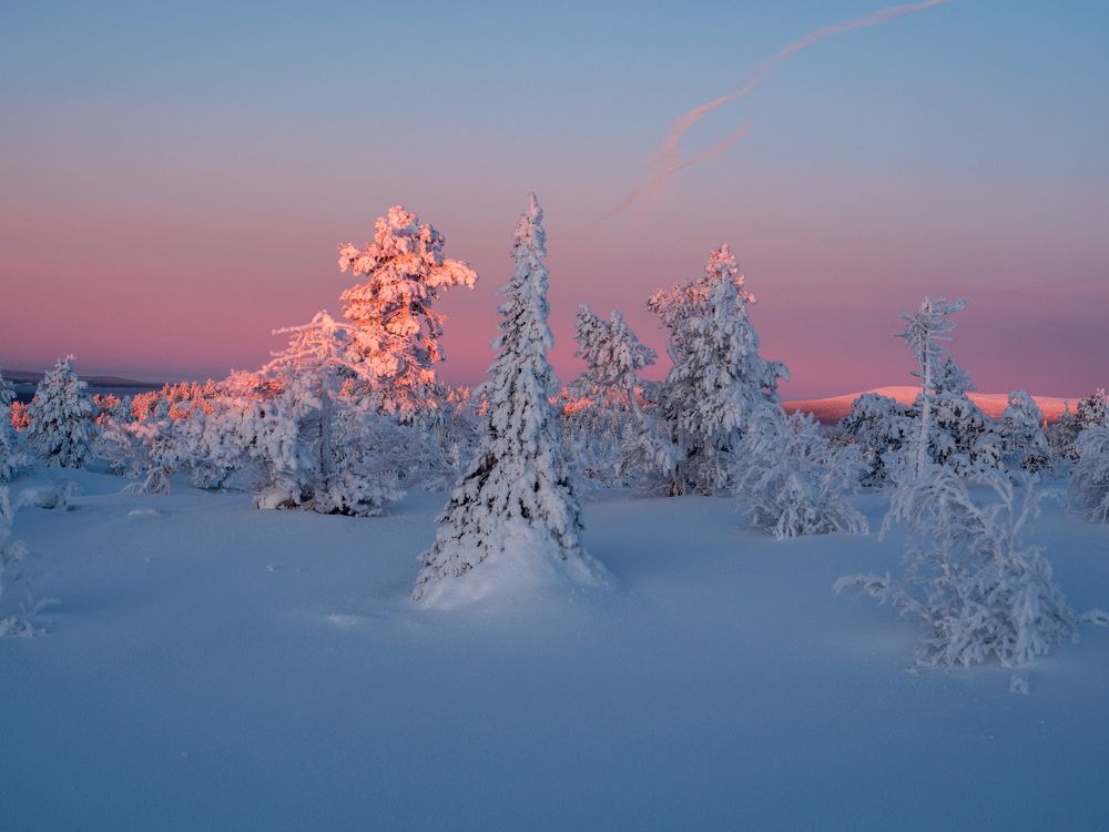 Северные сказки