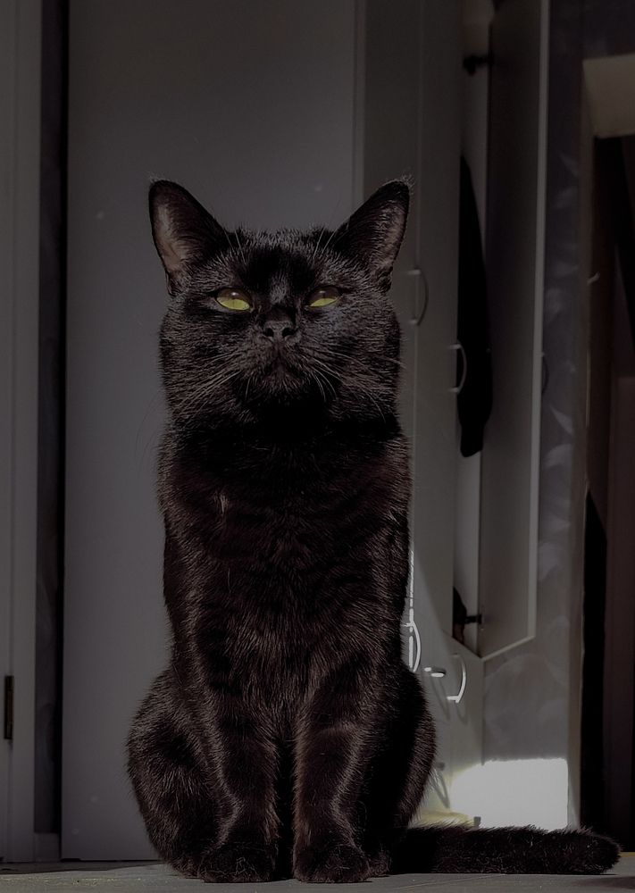 Photograph by Татьяна