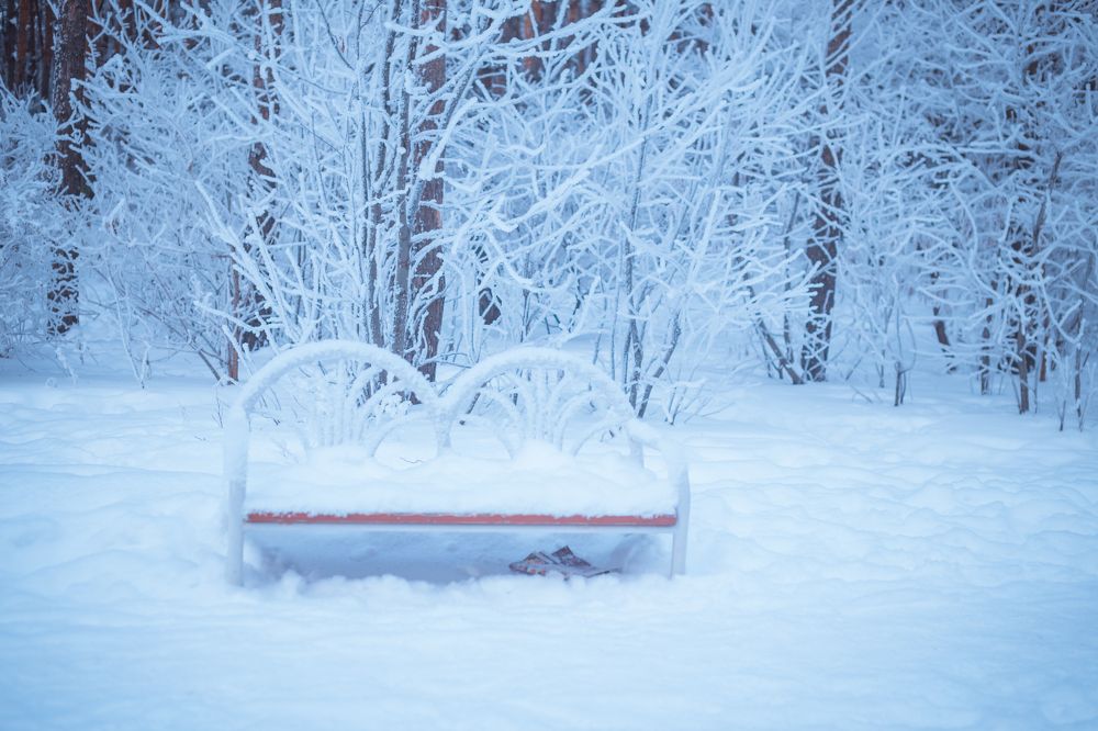 Photograph by Анопченко Ирина