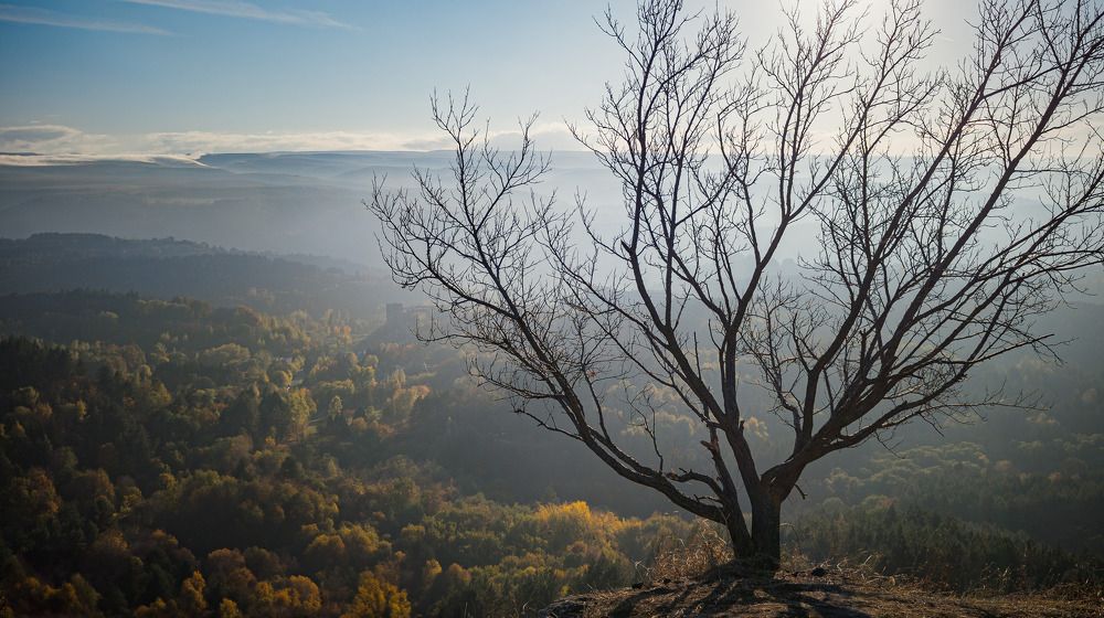 Photograph by Бурда Юрий