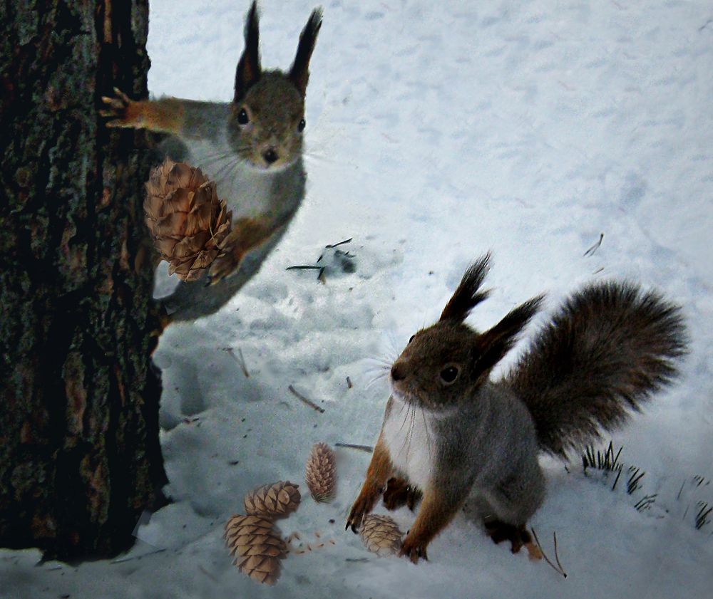 Photograph by Зоя Быкова