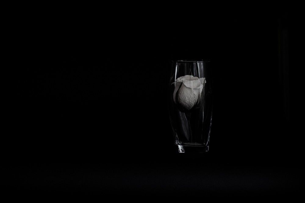 Photograph by Ксения Шилина