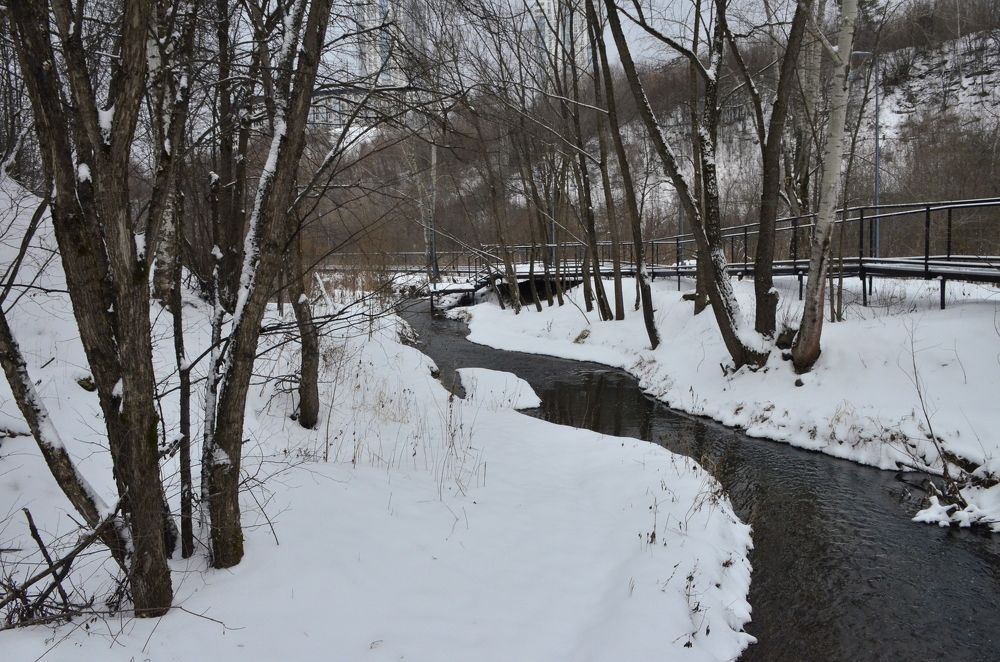 Фотография автора Алексей Власов