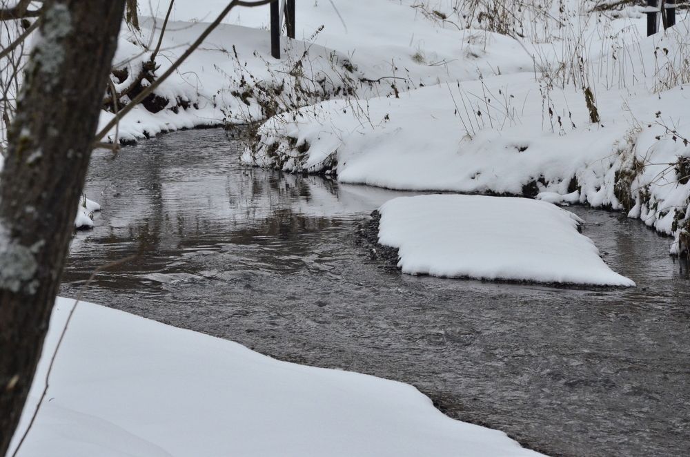 Фотография автора Алексей Власов
