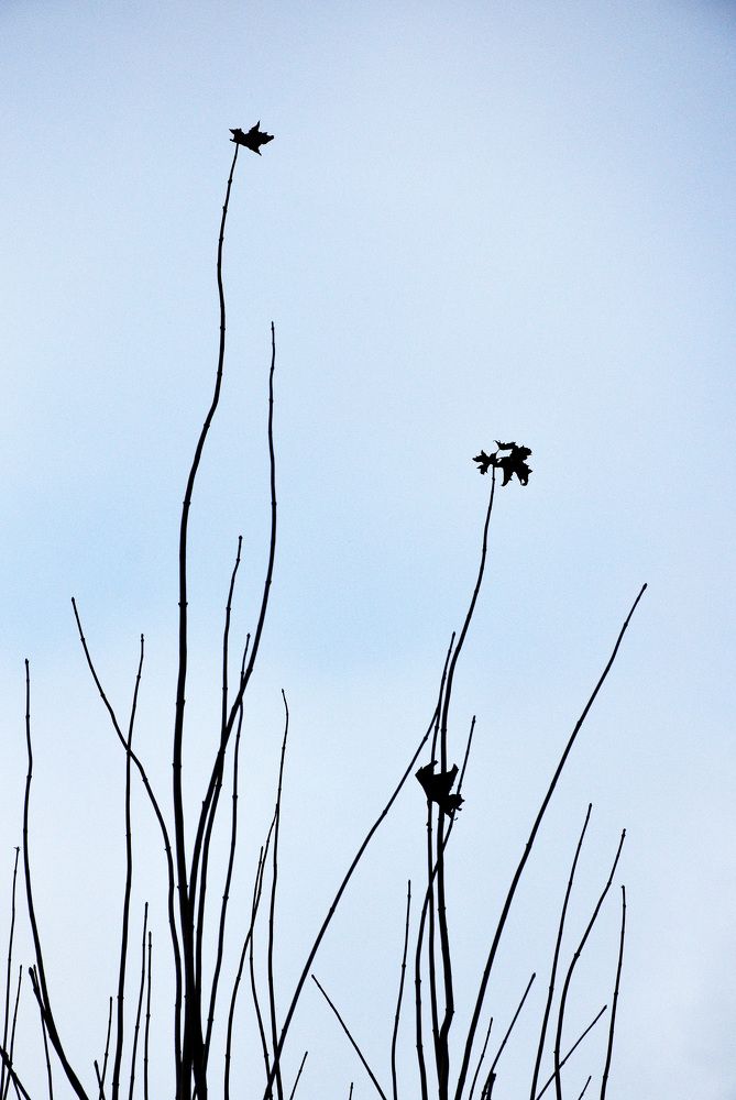 Photograph by Gabriella Szabo