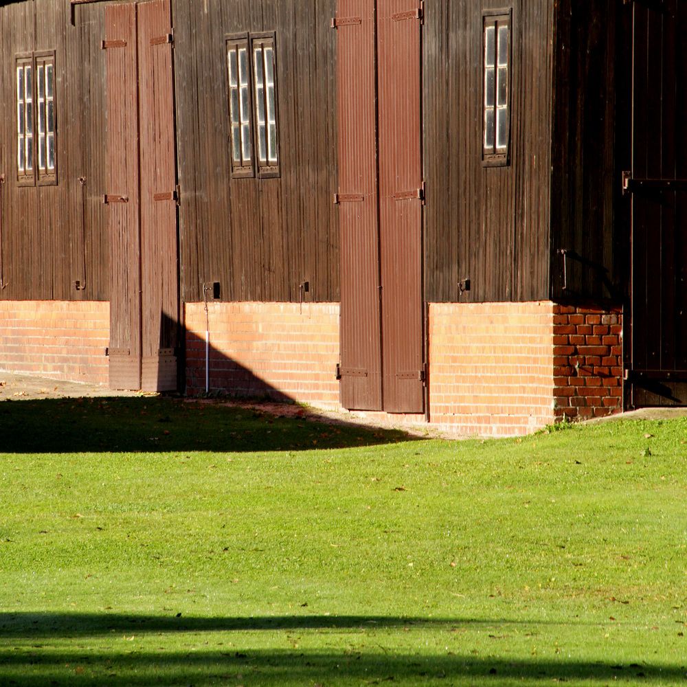 Photograph by Gabriella Szabo