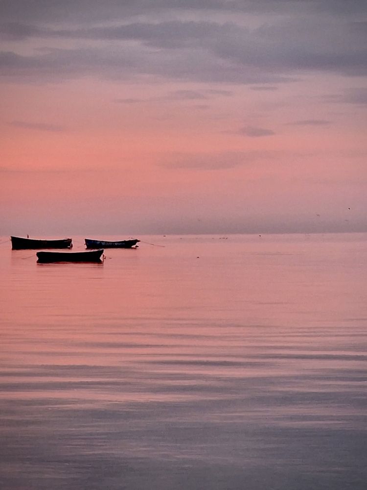 Photograph by Anna Krivorucko