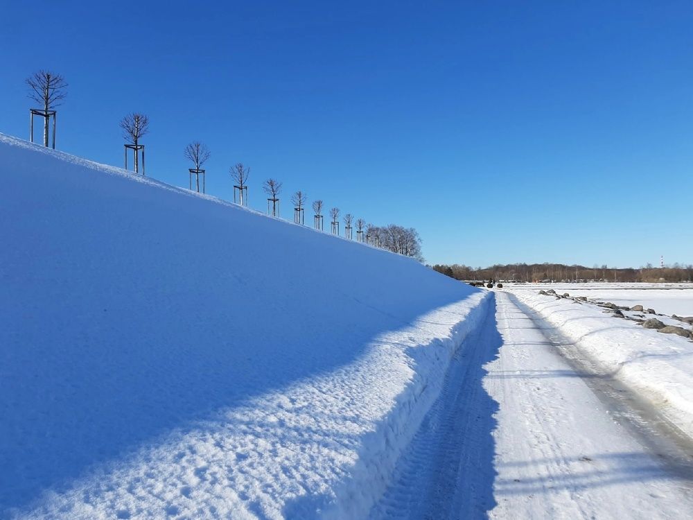 Photograph by Антонина Шабышева