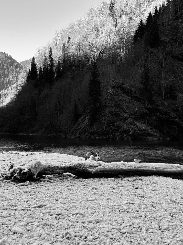 Photograph by Виктория Баева