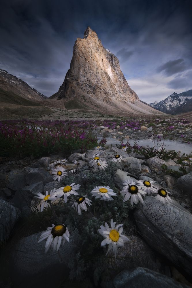 Photograph by Sk Shahrukh Sohel