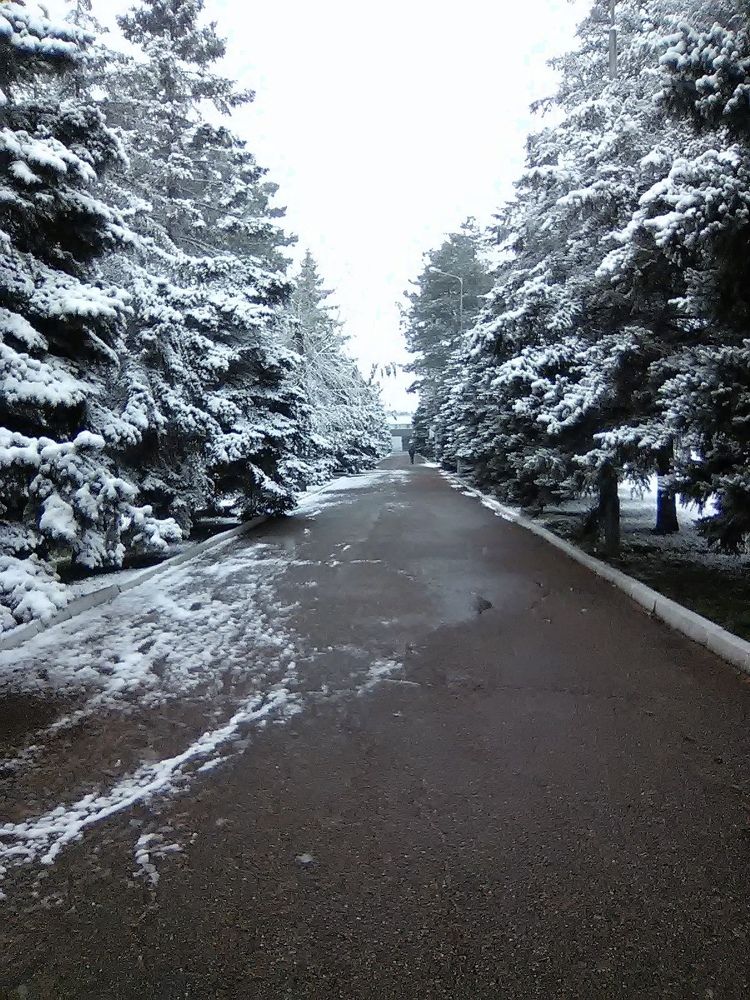 Фотография автора Анатолий Дячина