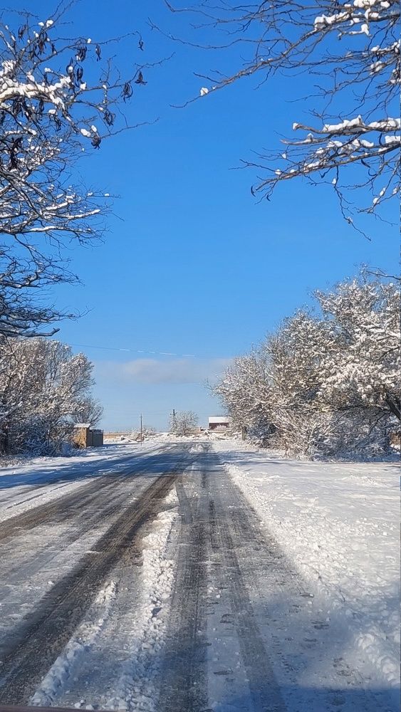 Фотография автора Анатолий Дячина