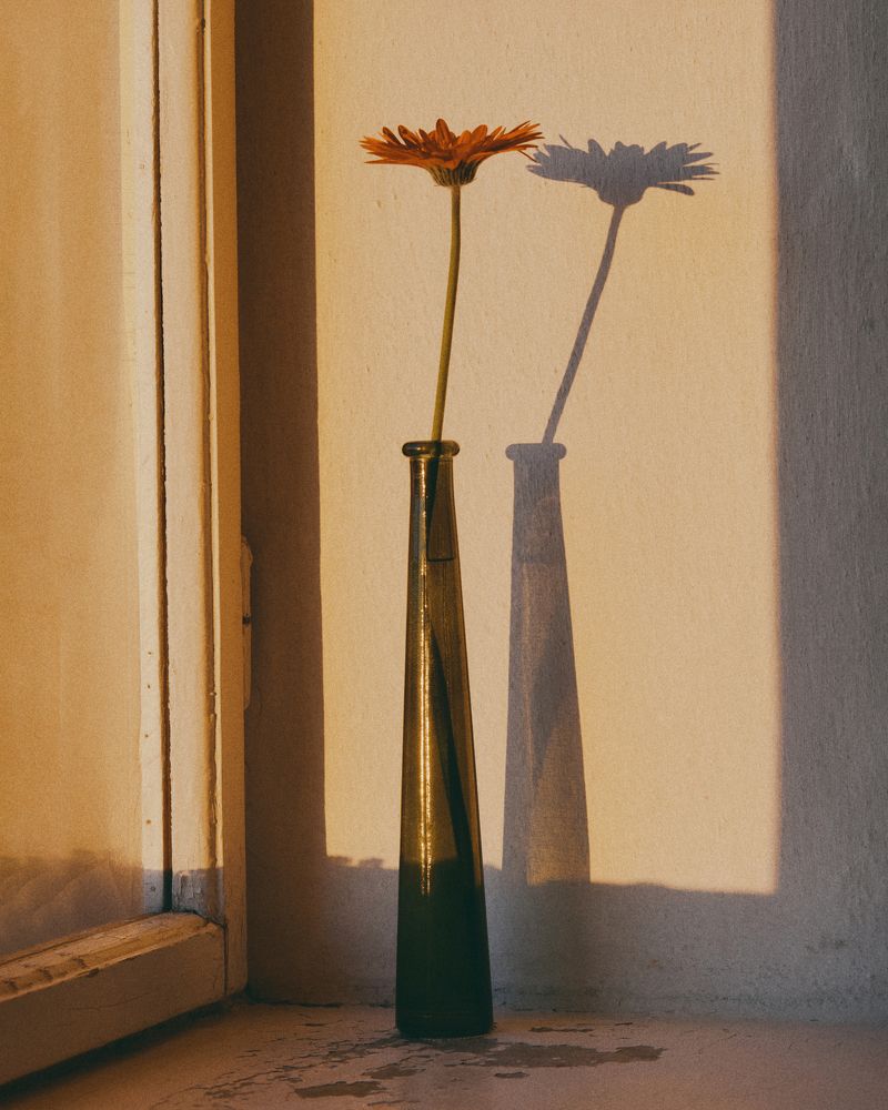 Фотография автора Andrei Kozlov