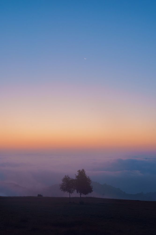 Photograph by Юрий Примак