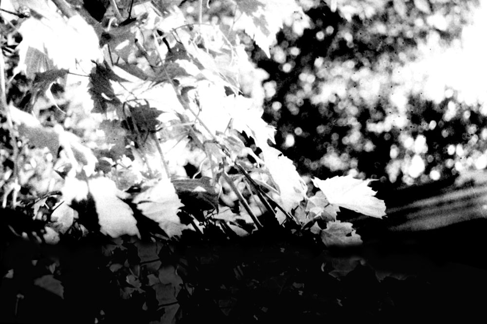 Photograph by Юлия Шадрина