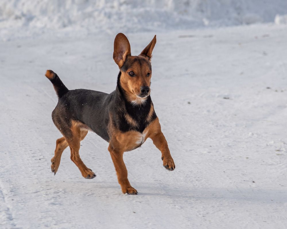 Photograph by Ирина Яук